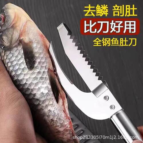 Stainless Steel Fish Scaler and Belly Slitter - 2-in-1 Multi