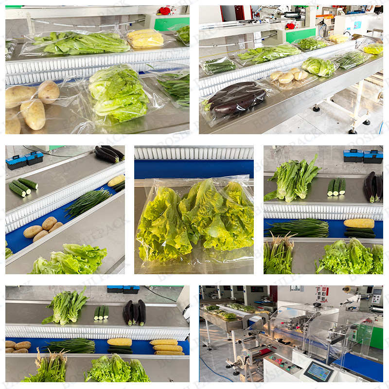 全自动蔬菜包装机  芹菜娃娃菜套装打包机 青瓜茄瓜枕式包装机