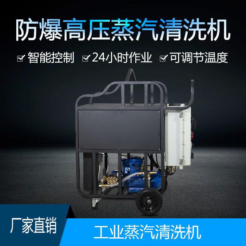 ATEX防爆蒸汽清洗机JNX-G36化工厂危化车间温去油设备