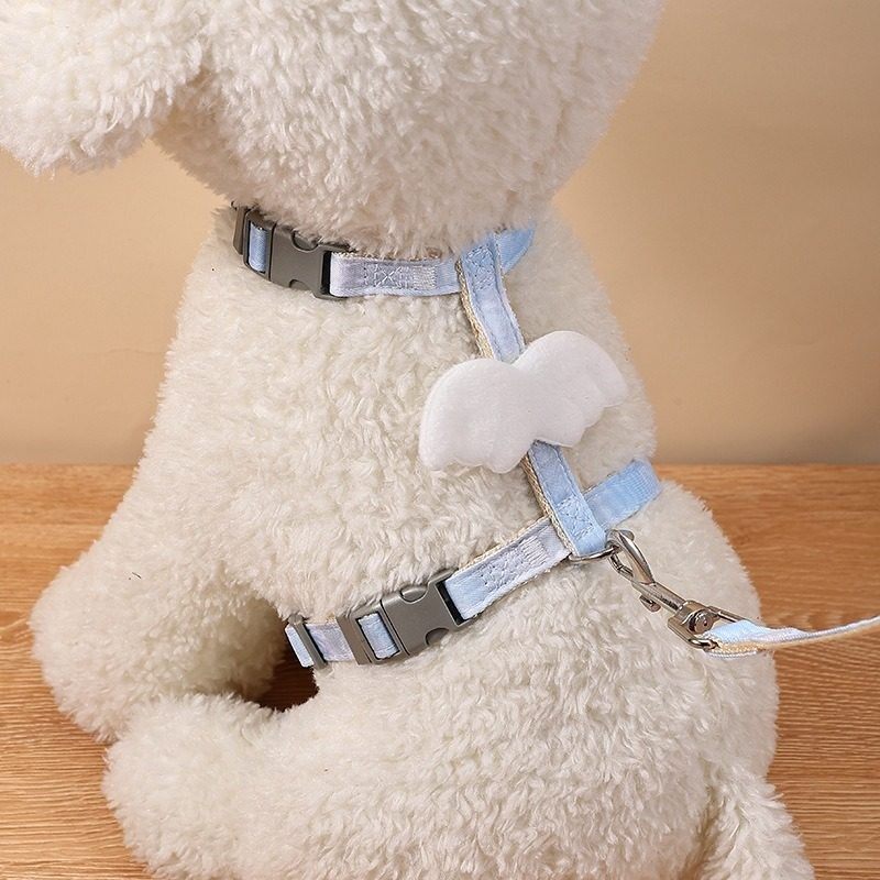 狗狗牵引绳防挣脱遛狗绳溜狗外出专用炼子狗狗胸背带宠物猫猫绳子,宠物/宠物食品及用品,狗牵引绳,淘宝优惠券,粉丝福利购,淘宝优惠卷