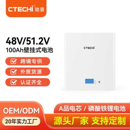 外贸51.2V100Ah壁挂家庭储能磷酸铁锂电池组太阳能光伏储能5度电