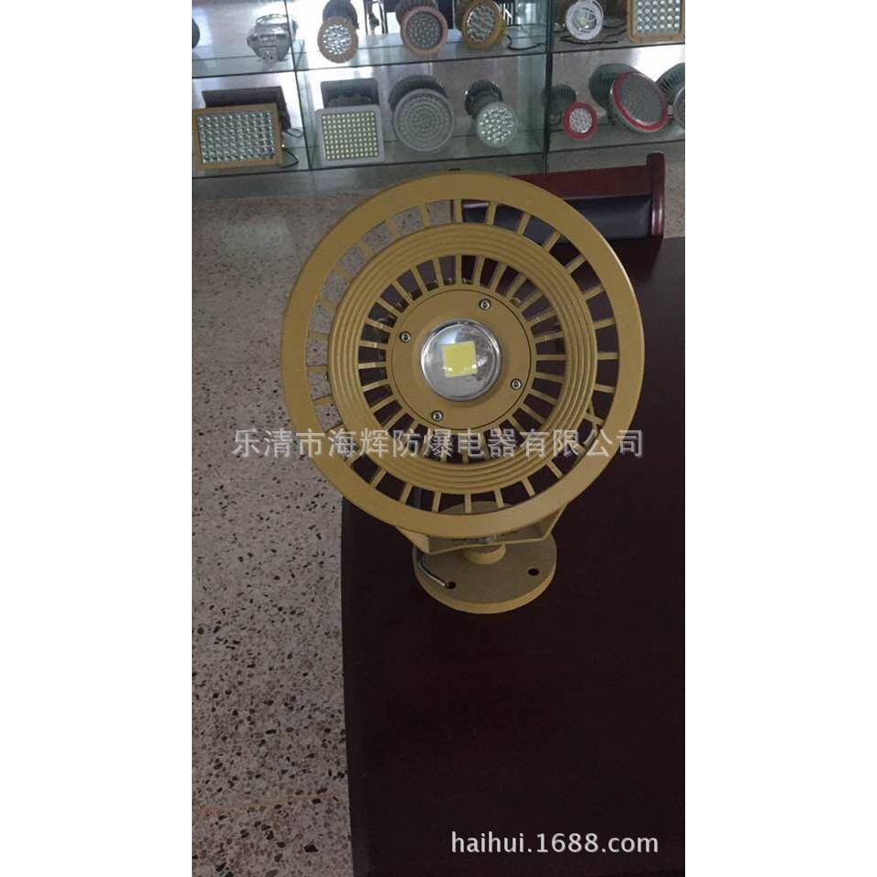 20W-300W系列LED防爆投光灯 防爆射灯带防爆合格证