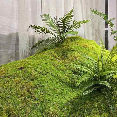 仿真苔藓草皮 青苔草皮 网红苔藓绿植墙布景 仿真苔藓椰丝青苔