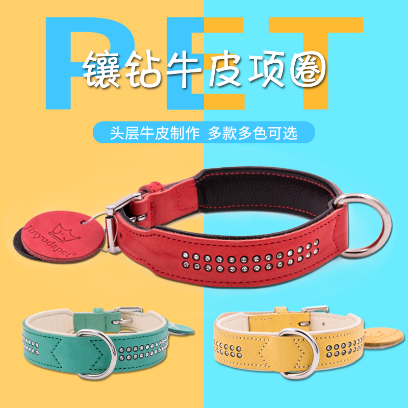 轻奢真皮宠物项圈糖果色猫咪脖圈中小型犬泰迪金毛牛皮狗狗颈圈