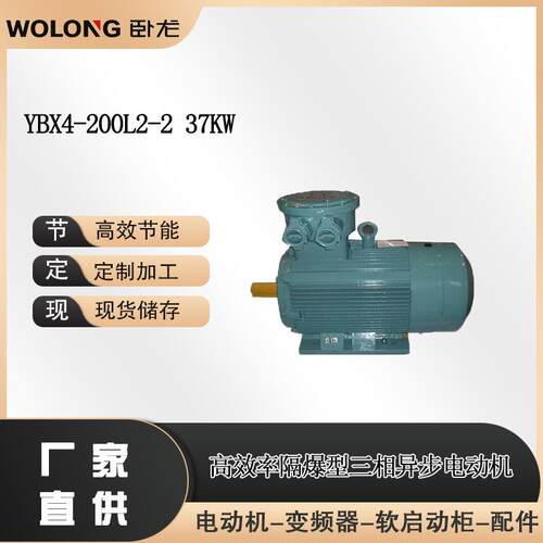 YBX4-200L2-237W防护等级IP55IP66P56IP65电机