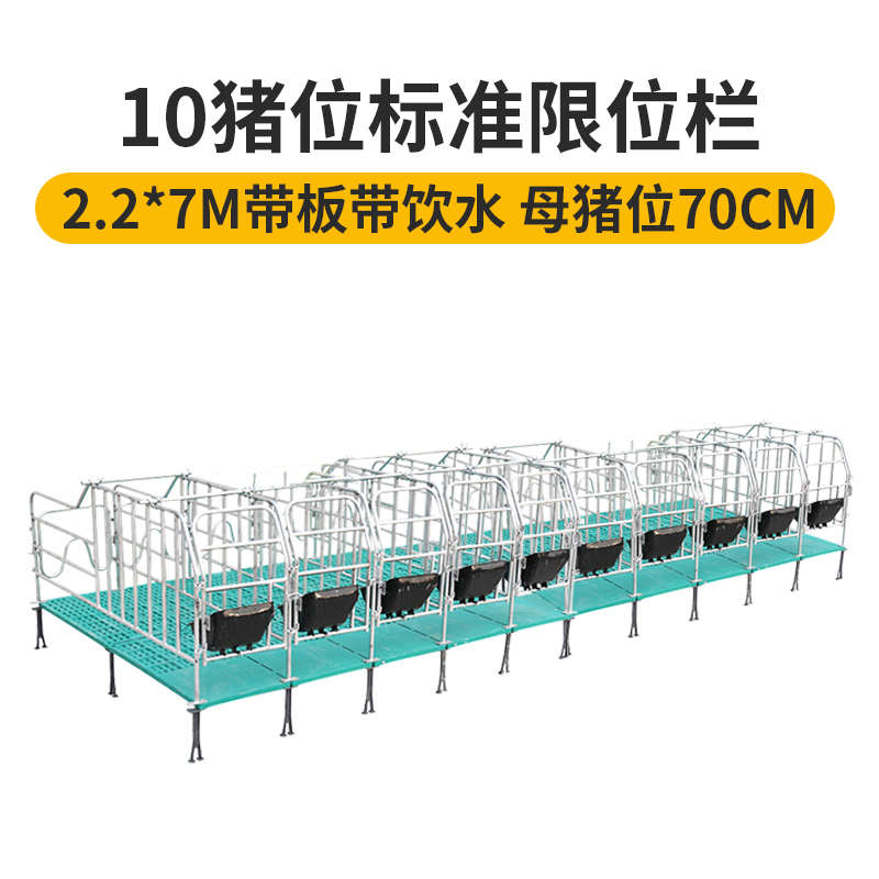 落地式栏定位猪保育设备用产床栏母猪加厚限位养猪养殖场围栏