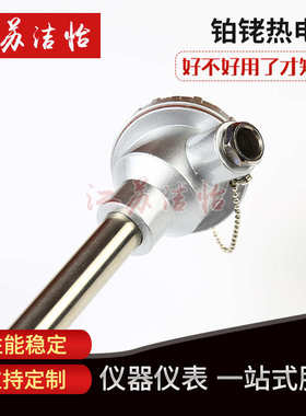 铂铑热电偶测温杆S.B.R型WRP-130高温刚玉管热电偶0-1600℃/0-180