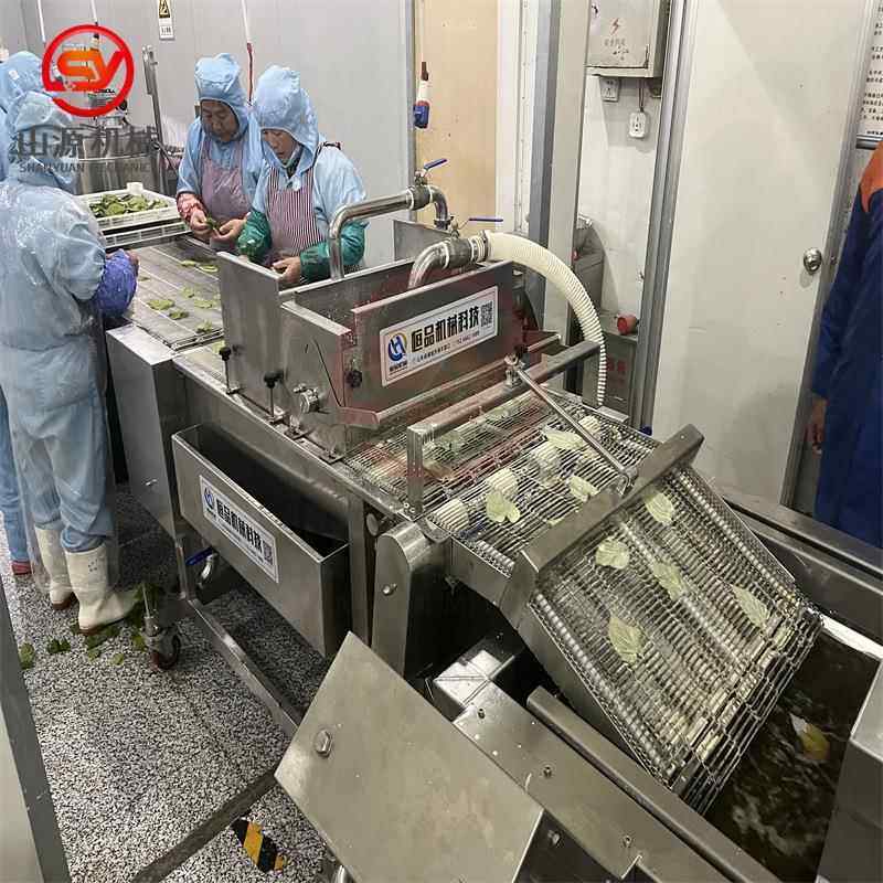 海苔片上浆机 预制菜香酥翠叶裹浆机 黄金薯塔上浆油炸机,清洗/食品/商业设备,其他食品加工设备,淘宝优惠券,粉丝福利购,淘宝优惠卷