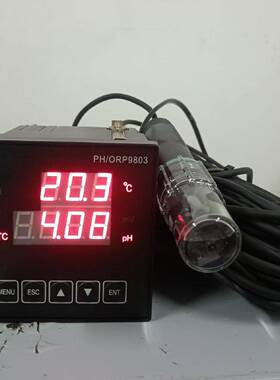 经济型在线PH计 -10米探头 型号:CY22-PHG9803库号：M194418