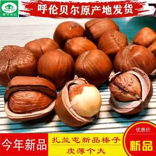 内蒙古大兴安岭产原味包山香炒榛子呼伦贝尔扎兰屯小榛子原味
