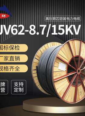 天环 ZC-YJV62单芯/1*240平方 35KV高压铜电缆 阻燃铠装电力电缆