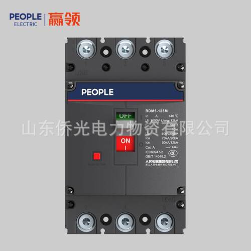 人塑民电器RDM3-125250RDM5-125L400H6350A壳断路器P