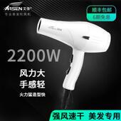 艾信吹风机5010大功率发廊发型师美发店专业用干发造型风筒