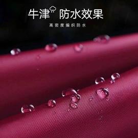 雨衣电动车单人双人雨披摩托车防爆雨面罩加大加厚成人男女士雨具