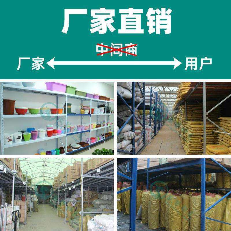 圆反边花盆工厂整件塑料花盆绿植绿萝多肉满简约花盆