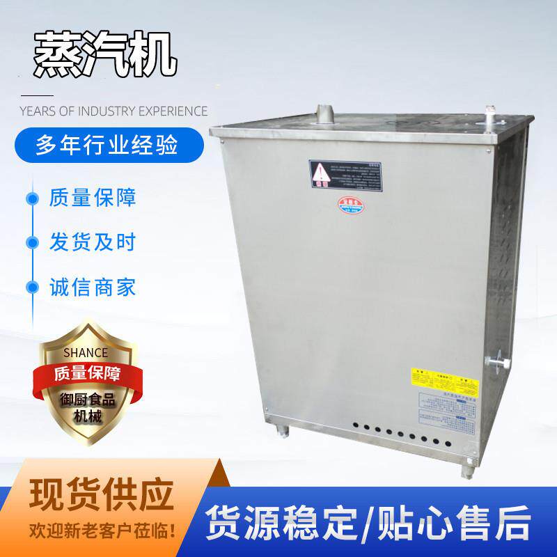 厂家直供小型蒸汽锅炉 电加热蒸汽发生器 商用桥梁养护压力蒸汽机