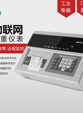 大树DS10P物联网称重显示器地磅称重带打印仪表头汽车衡显示器