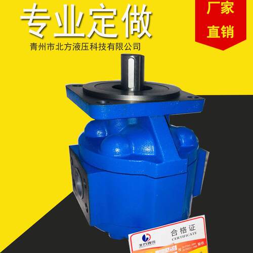 CBZ2032铸铁齿轮油泵 规格齐全