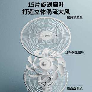 电风扇家用壁挂风扇工电扇卫生厨间房挂壁风扇多功业能MK-22吊扇