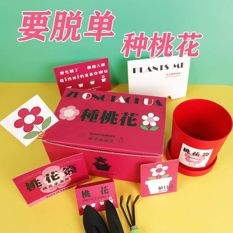 创意种桃花搞笑脱单送闺蜜男女朋友生日礼物DIY情人节搞笑礼品