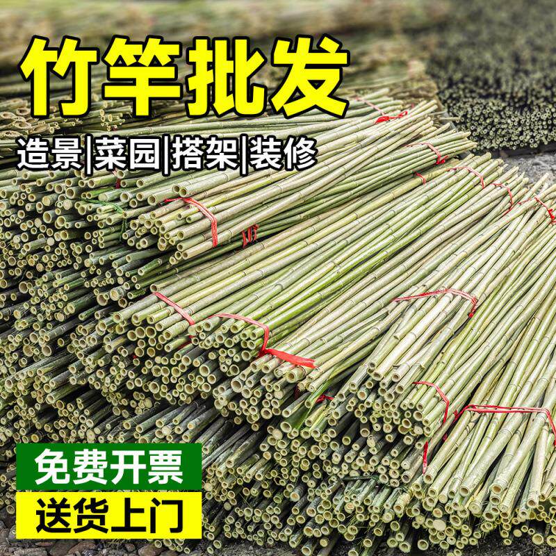 菜园搭架新竹竿蔬菜黄瓜豆角竹篱笆栅栏小竹子婚庆竹竿爬藤架旗杆