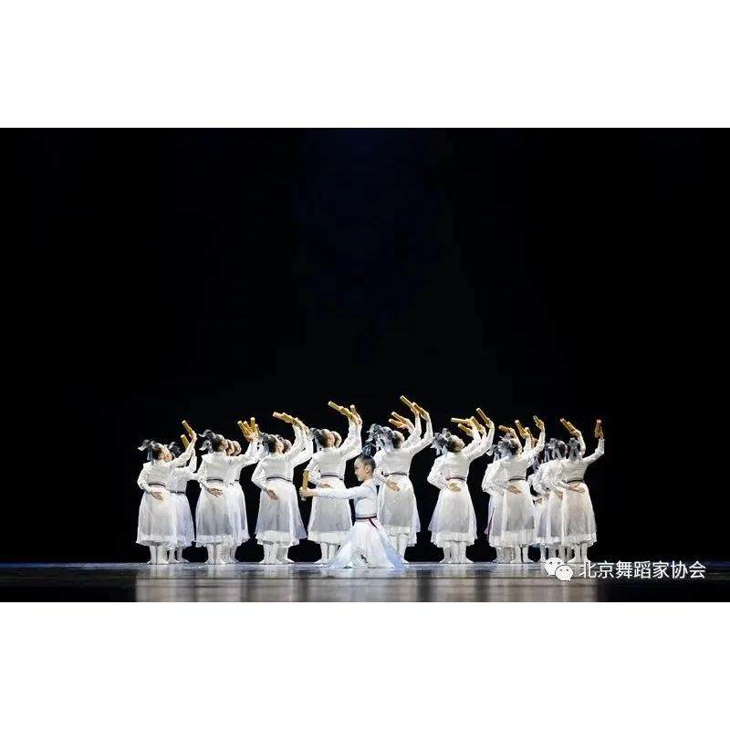 高档壮志出少年行舞蹈儿童雪龙吟中国少年志服演服象王行风扇子舞