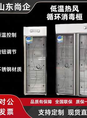 单门双门热风循环低温立式碗碟筷消毒柜 酒店餐厅毛巾餐具消毒