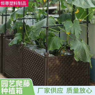 种植箱 园艺爬藤种植箱加厚种植箱家庭楼顶阳台户外爬藤式