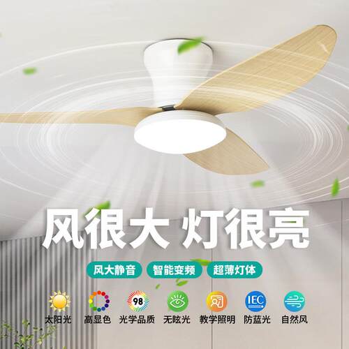 跨境北欧风扇灯2025新款吊扇灯卧室变频吊扇小户型风扇灯日规美规
