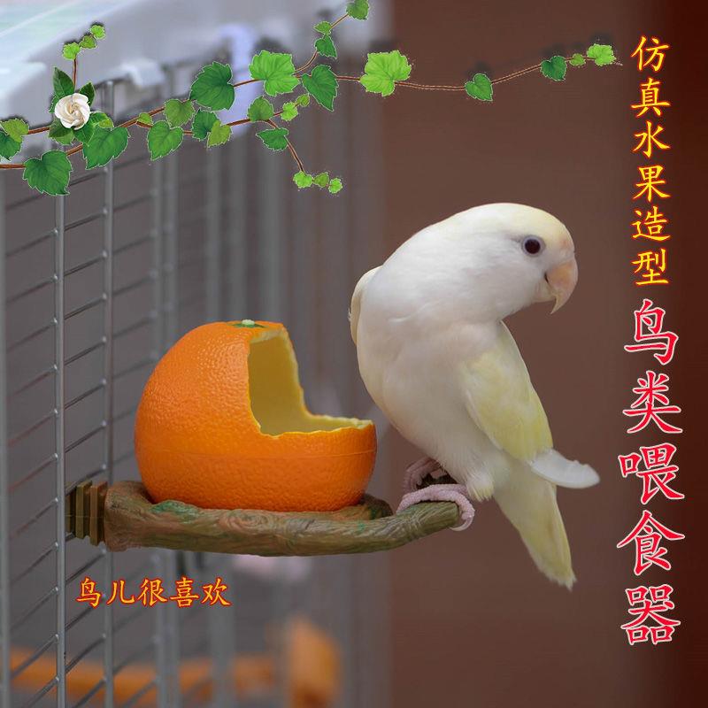小鸟食碗鹦鹉喂食器水壶食盆芦丁鸡喝水器喂