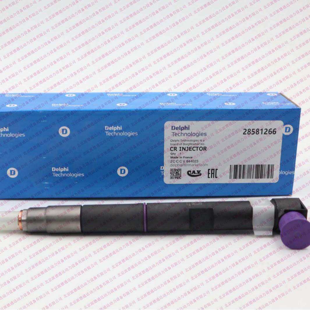 德尔福 28581266 338002A150 33800-2A150喷油器
