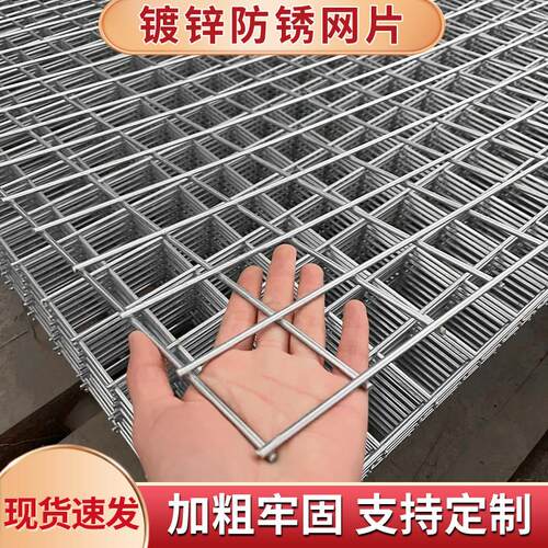 镀锌铁丝网电焊网片围栏小孔加粗狗笼养殖建筑钢筋网格网钢丝防护