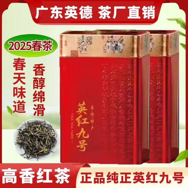 2025新茶叶英红九号一级红茶正宗英德浓香花香型黄芽散礼盒装500g