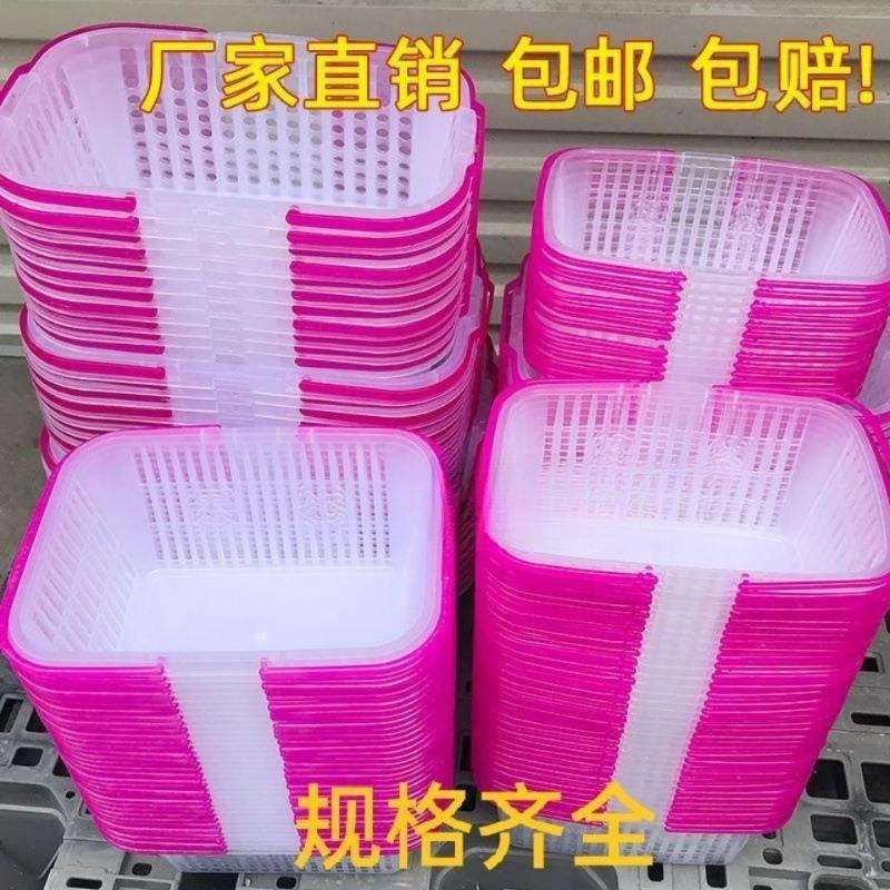 厂家直销草莓采摘篮子水果塑料篮鸡蛋框樱桃杨梅筐手提长方形