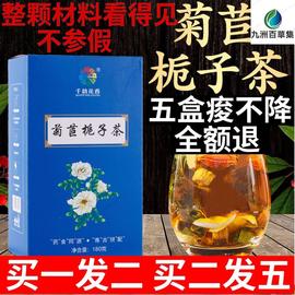 菊苣栀子茶绛尿酸尿酸高桑叶菊苣根降酸茶草本清酸橘红酸降清风