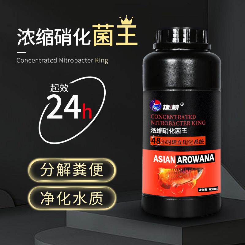 艳鳞硝化细菌鱼缸鱼池养鱼浓缩净水剂水质稳定剂水族水产专用护理
