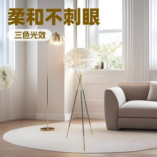 羽毛落地灯客厅沙发卧室床头立式台灯网红主播直播间鸵鸟毛氛围灯