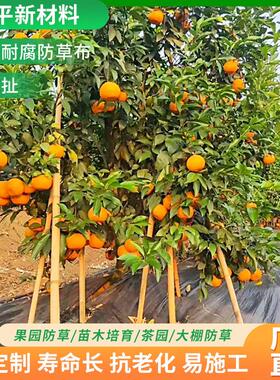 防草布园艺地布农用黑色树盖草布透气抗老化保湿透水地膜