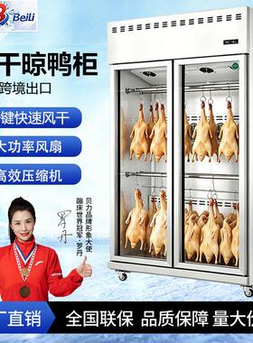 烤鸭风干晾胚柜 商用智能除湿保鲜柜晾肉柜 冷藏展示柜烧腊乳鸽柜