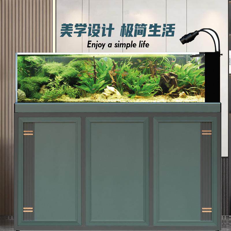 客厅松宝溪流缸超白玻璃底滤生态鱼缸微景观水草造景靠墙金鱼缸