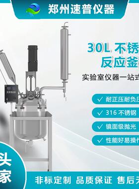 速司普仪器 实验室30L耐用双层不锈钢智能温控反应釜化学实验器材
