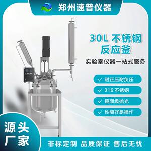 实验室30L耐用双层不锈钢智能温控反应釜化学实验器材