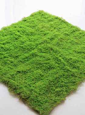 植物墙仿真苔藓绿色假苔藓青苔微景观盆景造景装饰材料草坪草皮