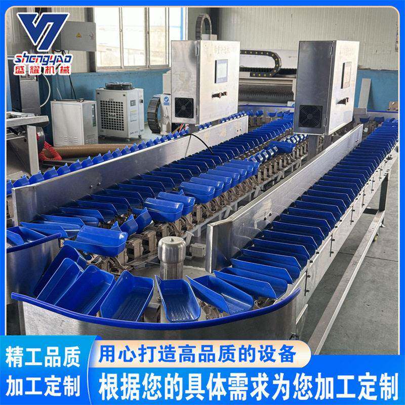 鱿鱼串重量分选机全自动鱿鱼仔多级称重机大樱桃重量分级机盛耀