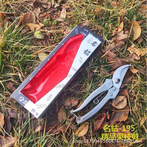 正品名钻-195果枝剪园林修枝剪园艺剪刀园林修枝摘果花枝剪果树剪