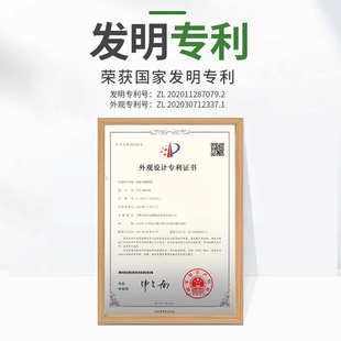 枝晓 葡萄架插接式花架爬藤架 园艺花卉植物支撑架支撑蔷薇爬藤架