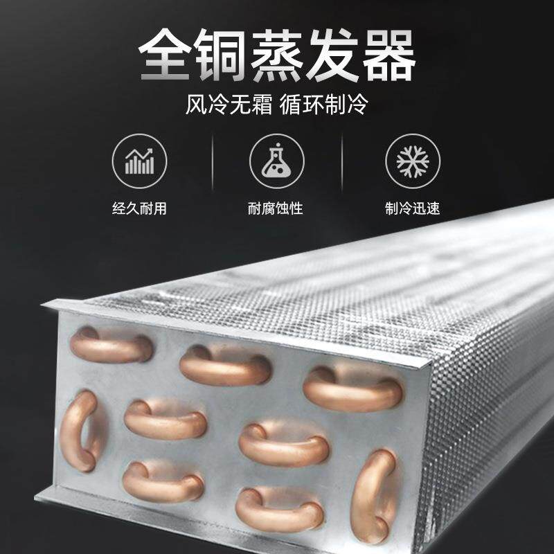 工厂直销牛肉干式熟成柜商用西餐厅牛排排酸柜湿式保鲜展示风干柜