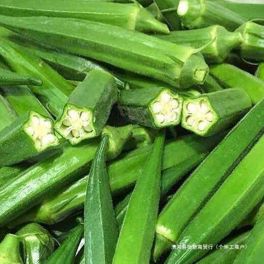 【现货速发】鲜嫩秋葵新鲜蔬菜即食农家羊角豆水果黄秋葵现摘现发