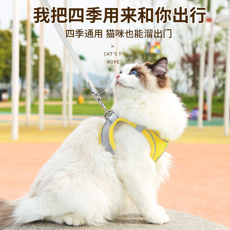 小体犬幼犬专用牵引绳超小体约克夏胸背茶杯犬1斤狗绳小鹿犬狗狗