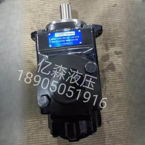 丹尼逊叶片泵T67CBW 022 B10 WR00 A1M1 T67DC-B35-B22-1R00-A100